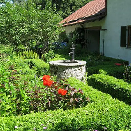 Martinas Place 3* روتينبوخ